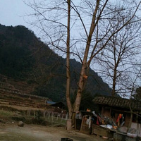 ��ĸ���İ�ȫ��ʶ����һ�㡣