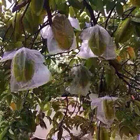 �����𣬿��˺����