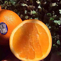 ������ʢ����ȣ�������ڣ������пڸ����