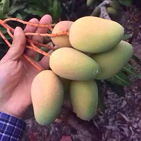 ����â����