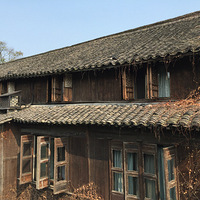 ���ϣ�������һ����