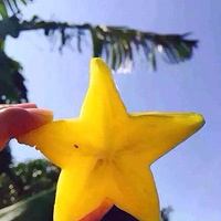 �����������ң�һ�㲻��һ�㲻ɬ��ˮ�ݶ࣬