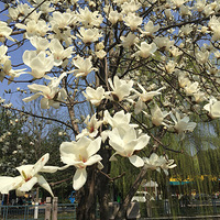 �������������