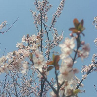 Ҫ�뿴ӣ�����α�һ��Ҫ�˼��ˣ��������أ�