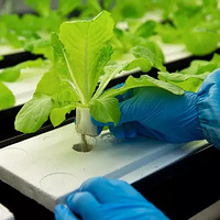 ��Ե�޹ʱ���ɫ����һ��������