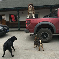 ˧��һ����  and����С�͸���ܰ��