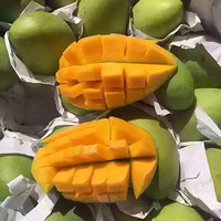 ����â����