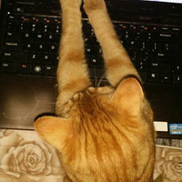 �裬���ڿ������㲻Ҫ���ң�