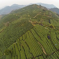 ���������Ĺ�Ч�븱����