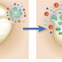 ���ݰ�ά�ݿƣ�"Ϳ��"+"�ѹ����" ��������������˫�ر�����