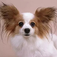 ���ݳ������� �ÿ���Ҫ ��������Ҫ