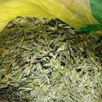 ����ǧ�����л���