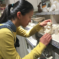 365��������֮����