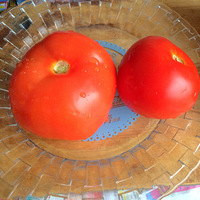 �Լ�diy������