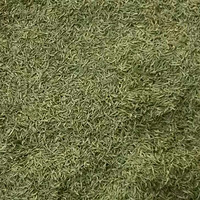 �ʹ�ҷ���һ���ҼҵĲ�Ҷ�Ͳ�԰����ɽ�̲�