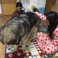 ����ҲҪ���߷�����