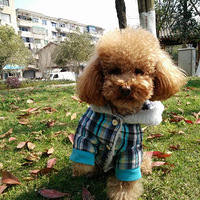 ��ϲ��̧ǰצ�ıȸ�