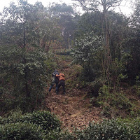 �����ѼҲ����������