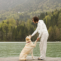 ��̥������ɨä��ר���й�����ġ��и����ɡ�ҥ��