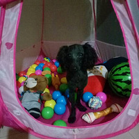 ���ǼҸ��Ե���