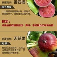 10�֡�����ʳ�������ʳ������ԭ��ʳ��