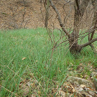 �����ζ��-----��Ȥ