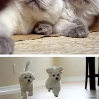 ���ݳ���ҽԺ ����������ཡ��