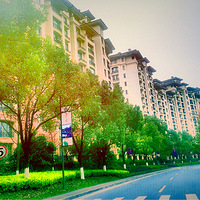 ���֪������������