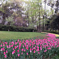 ȥ����һ�졣�����ķ羰��������