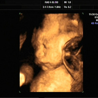 �Ҽҵ��³�Ա�ﺢ������Ұ��ҳ�����к�����Ů����