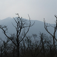 ����ʲô�о���