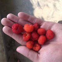 Сʱ��Թ���