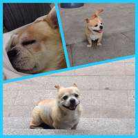 ��һ����������  �����չ˺�  ���ǼҵĹ���