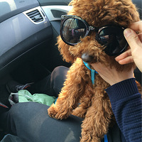 �����������ˣ����Һϸ�Ӱһ�㶼����Ը��