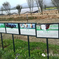 ���Է���Ҳ��ͷѧ��