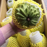 �����Ҽҵ�ˮ������˵���ˮ���Ա�����Ƥ��