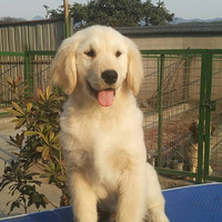 ɹɹ��ë����