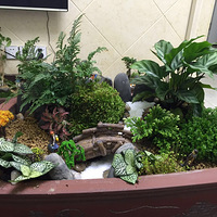 ��С�������������򣬻������Լ���һ��΢����