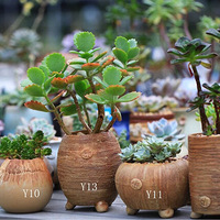 ���⻨������