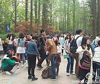 ɹ����+ ��������ɽ·̫���幫԰���ĺ����˵�����.