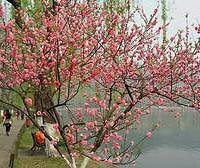 ɹ����+�����������һ���俪.