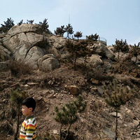 �����ڵ���ɽ�����ۣ����ܿ��ģ�