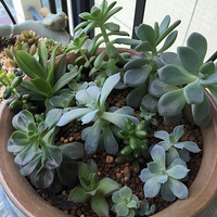 �Ҽ�������