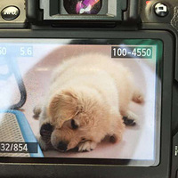 ͣ��ɹɹ�ҵ���