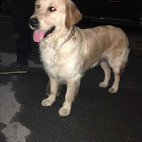 ���������ĺ�����