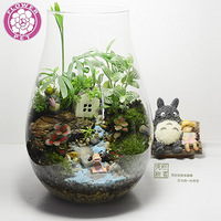 ������ ����ůů ������