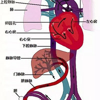 ����֪ʶ����