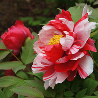 Ѱ���ټ���2��