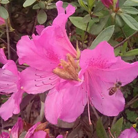 ��������~