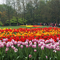 Ѱ���ټ���3��